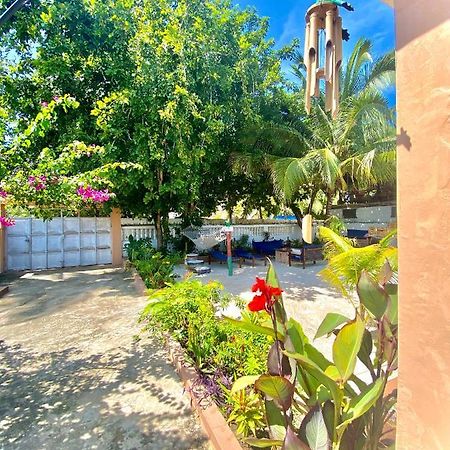 Villa Orchid Beach Guest House Bwejuu Ngoại thất bức ảnh
