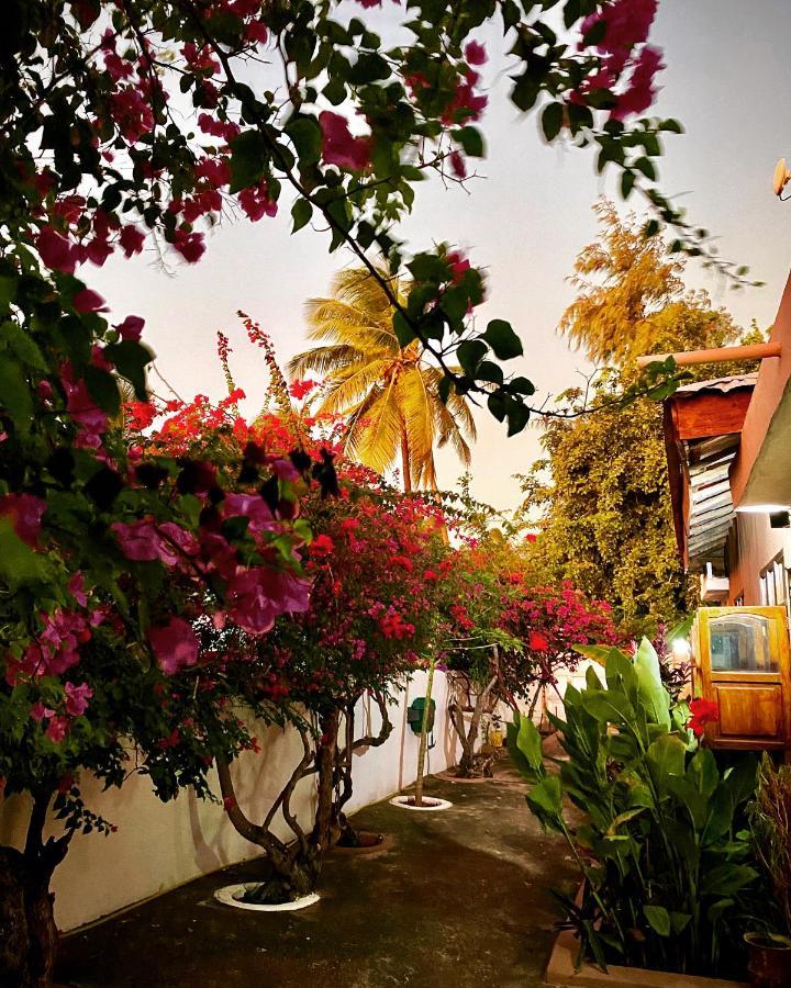 Villa Orchid Beach Guest House Bwejuu Ngoại thất bức ảnh
