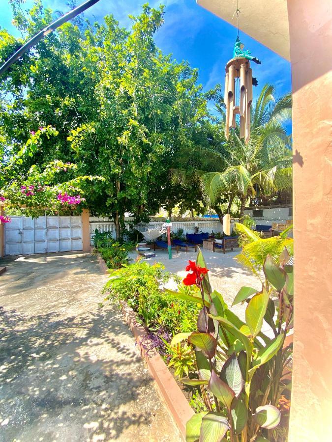 Villa Orchid Beach Guest House Bwejuu Ngoại thất bức ảnh