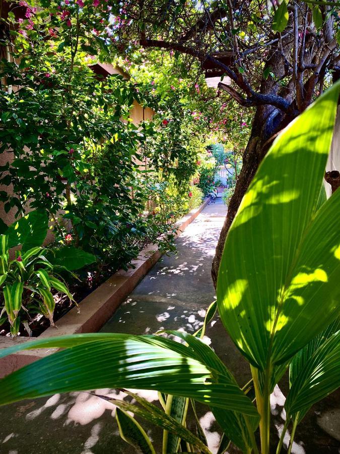 Villa Orchid Beach Guest House Bwejuu Ngoại thất bức ảnh